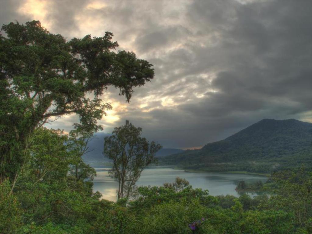 Bukit Kembar Ecotourism Hotel Gitgit Eksteriør billede
